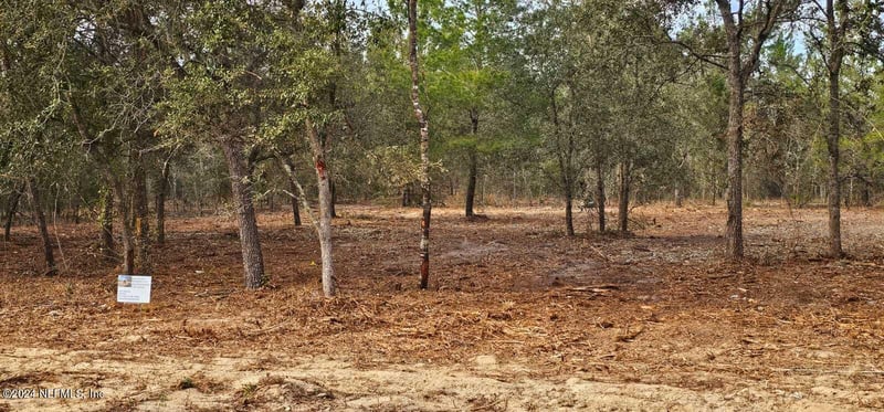 0 Lily Trl, Interlachen, FL 32148