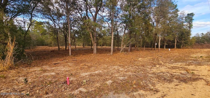 0 Lily Trl, Interlachen, FL 32148