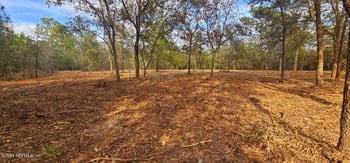 Lily Trl, Interlachen, FL 32148