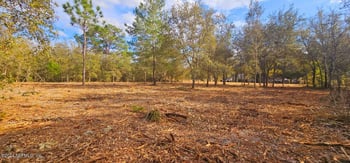 Lily Trl, Interlachen, FL 32148