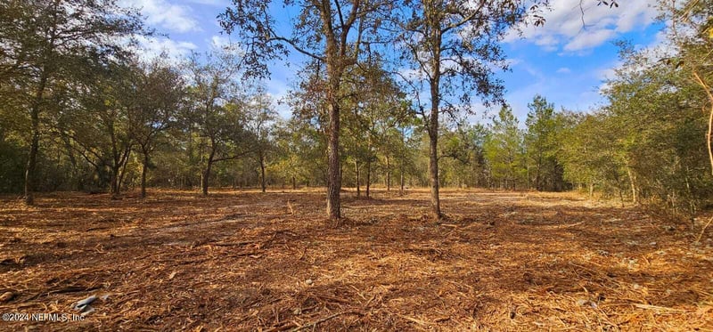 0 Lily Trl, Interlachen, FL 32148