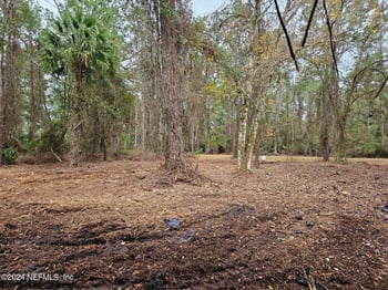 534 Palm Way, Georgetown, FL 32139