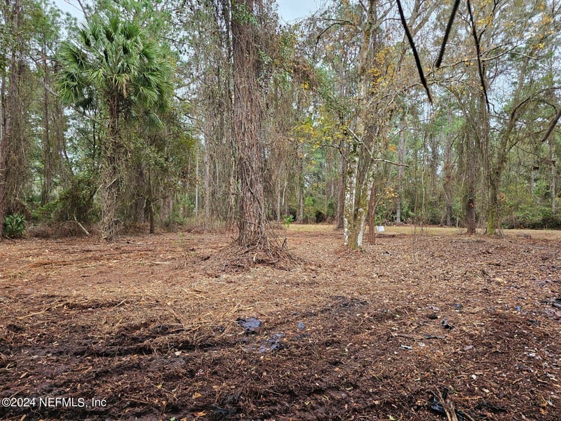 534 Palm Way, Georgetown, FL 32139