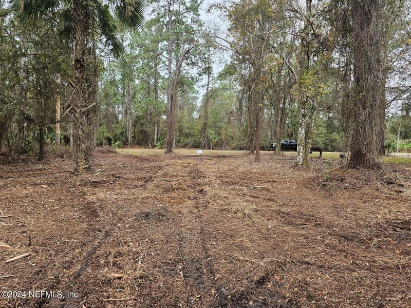 534 Palm Way, Georgetown, FL 32139