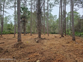 211 4th St, Georgetown, FL 32139