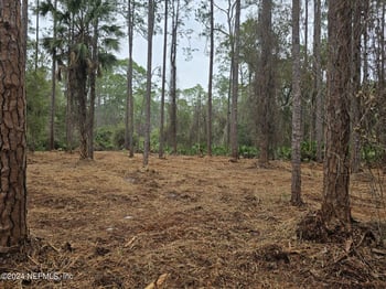 211 4th St, Georgetown, FL 32139