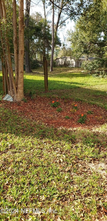 7249 Mimosa Grove Trl, Jacksonville, FL 32210
