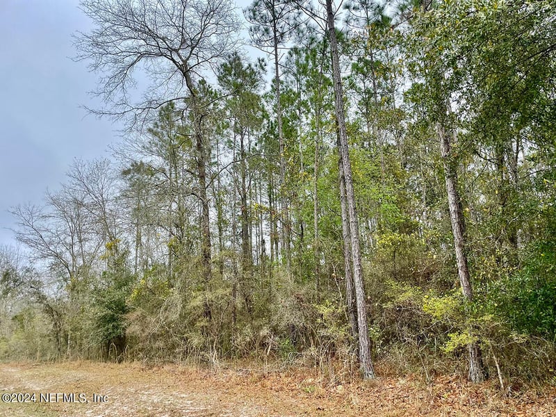 15436 Bullock Bluff Rd, Bryceville, FL 32009