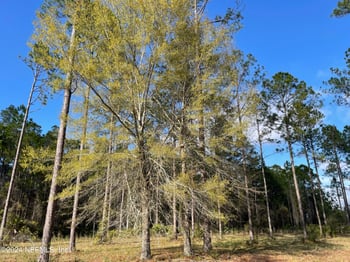 10105 Breakaway Ct, Jacksonville, FL 32219