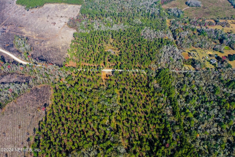 LOT 10 Josephine St, Lake, FL 32055