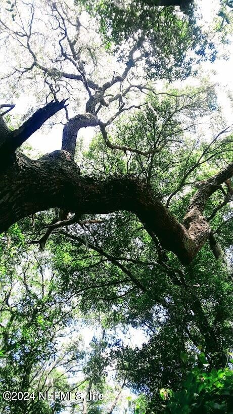 5377 Custer St, Keystone Heights, FL 32656