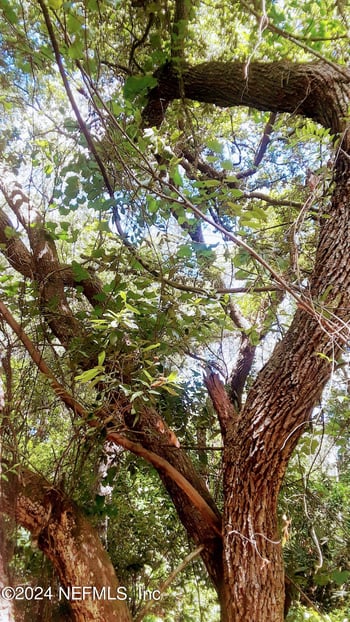 5377 Custer St, Keystone Heights, FL 32656