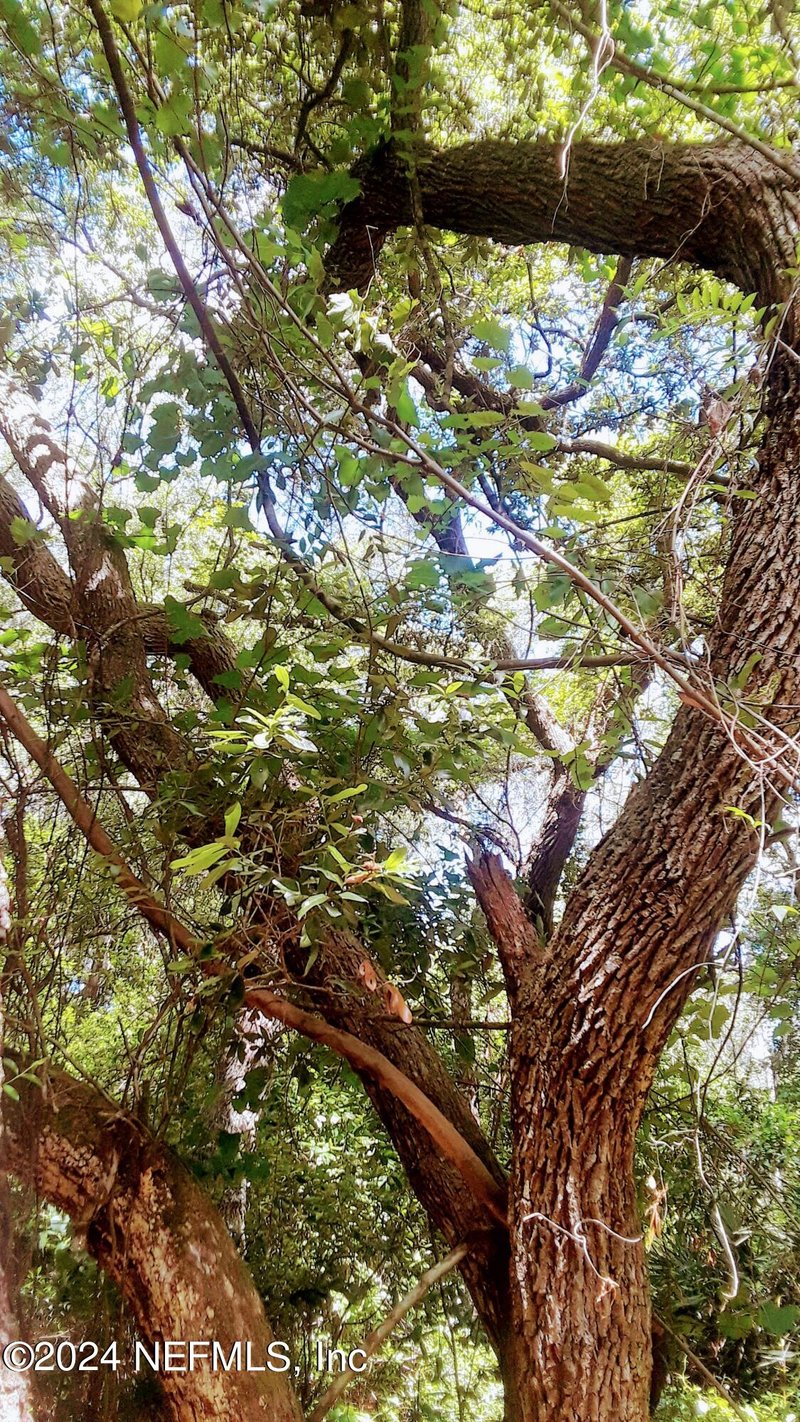 5377 Custer St, Keystone Heights, FL 32656