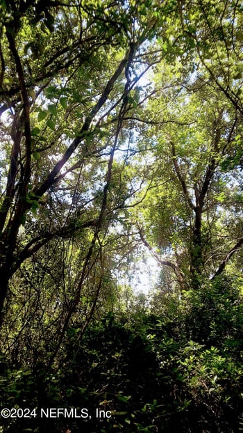 5377 Custer St, Keystone Heights, FL 32656