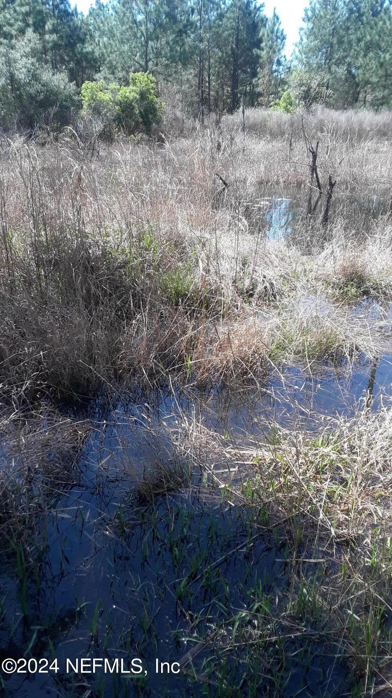 5377 Custer St, Keystone Heights, FL 32656