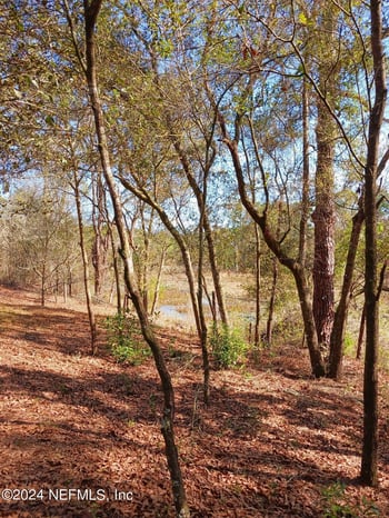 5455 Joshua St, Keystone Heights, FL 32656