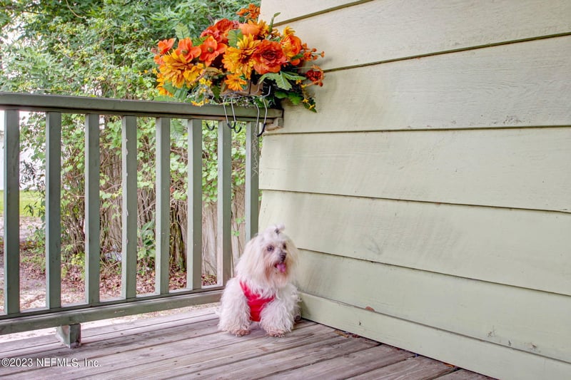 211 Hwy 17 , East Palatka, FL 32131