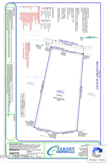 5291 Chicory Cir, Middleburg, FL 32068