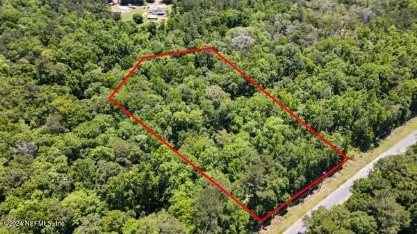 5291 Chicory Cir, Middleburg, FL 32068