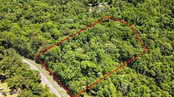 5291 Chicory Cir, Middleburg, FL 32068