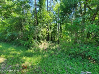 0 Scenic Dr, Middleburg, FL 32068