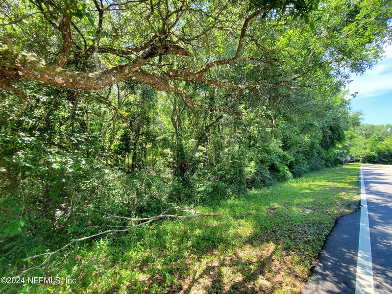 0 Scenic Dr, Middleburg, FL 32068