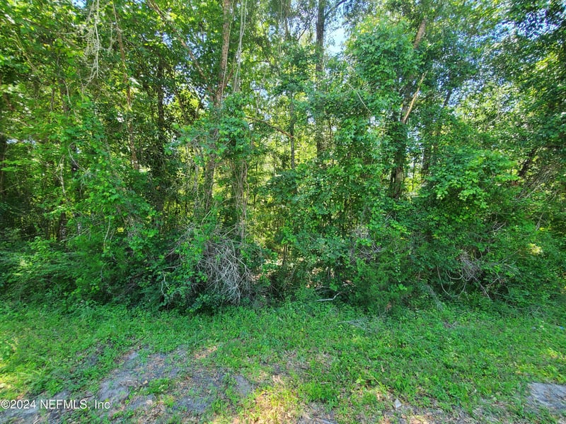0 Scenic Dr, Middleburg, FL 32068