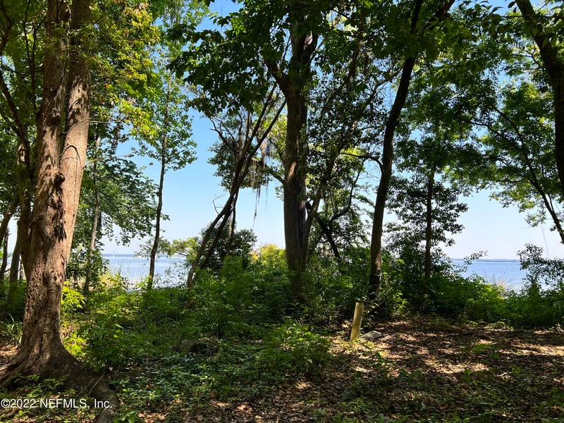 654 Orange Ave, Green Cove Springs, FL 32043