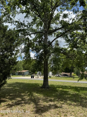 1598 Long Horn Rd, Middleburg, FL 32068