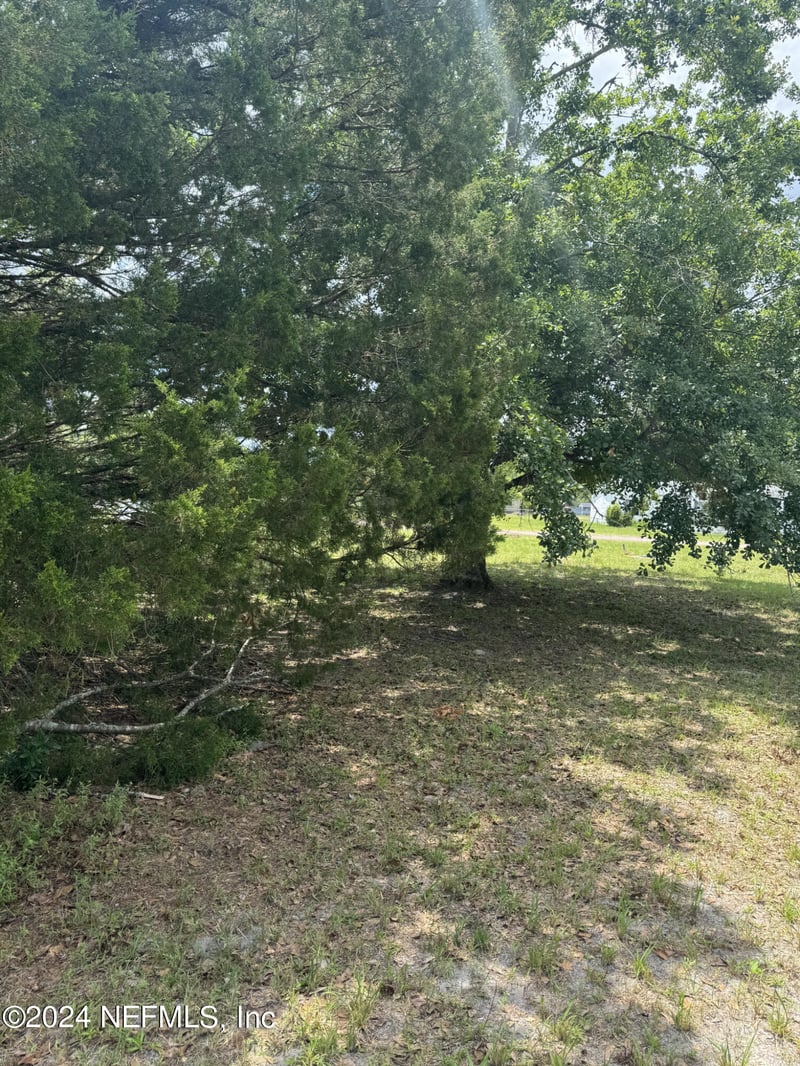 1598 Long Horn Rd, Middleburg, FL 32068