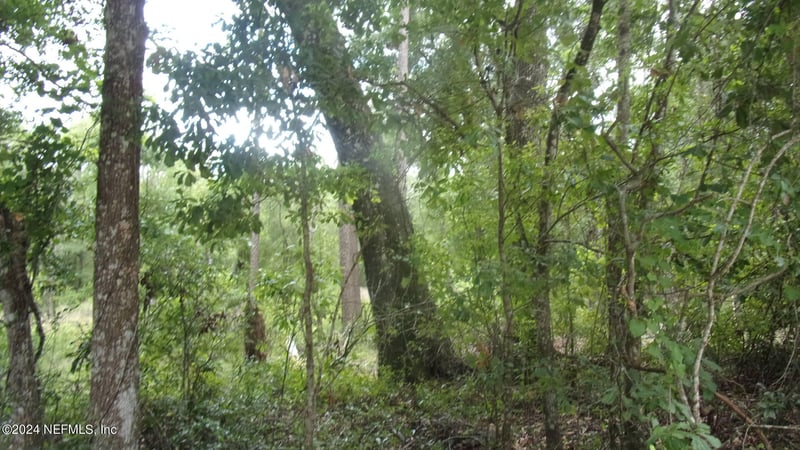 141 Crosby Rd, Florahome, FL 32140