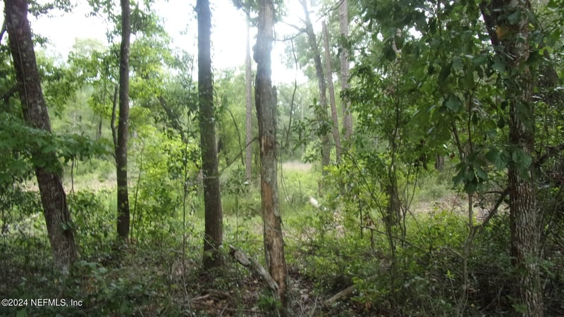 141 Crosby Rd, Florahome, FL 32140