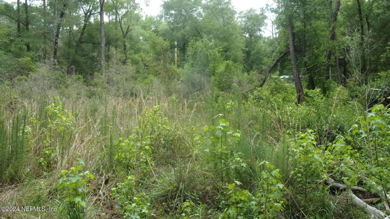 141 Crosby Rd, Florahome, FL 32140