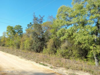 7678 Oak Forest Rd, Keystone Heights, FL 32656