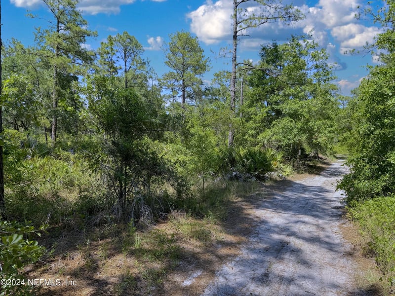 118 Miller Ave, Crescent, FL 32112