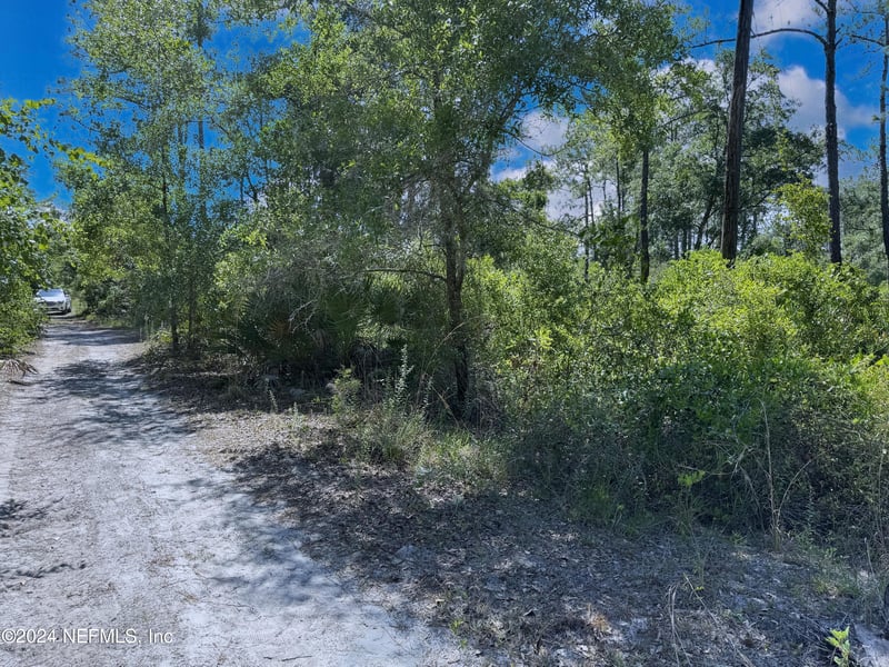 118 Miller Ave, Crescent, FL 32112