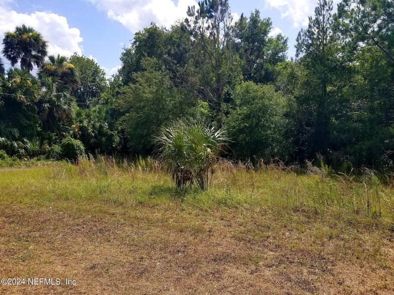 108 Siesta Cir, Welaka, FL 32193