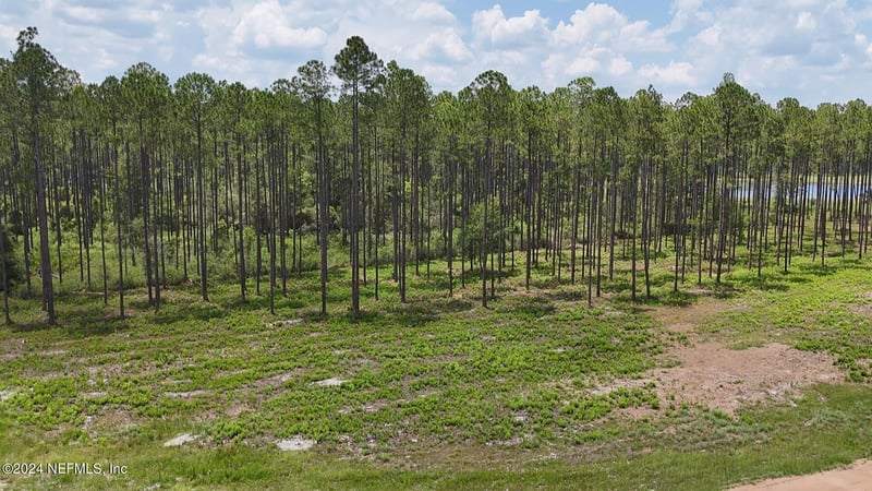 LOT 3 Us Hwy 301, Bryceville, FL 32009