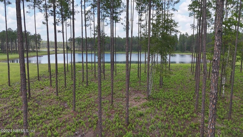 LOT 3 Us Hwy 301, Bryceville, FL 32009