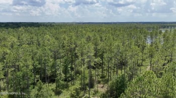 LOT 2 Us Hwy 301, Bryceville, FL 32009