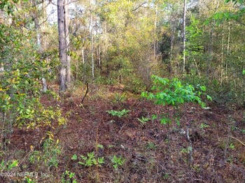 6208 Hunter Ave, Keystone Heights, FL 32656