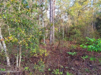 6208 Hunter Ave, Keystone Heights, FL 32656