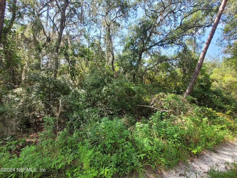 124 Pleasant Dr, Crescent, FL 32112