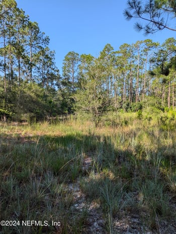 Garcia St, Interlachen, FL 32148