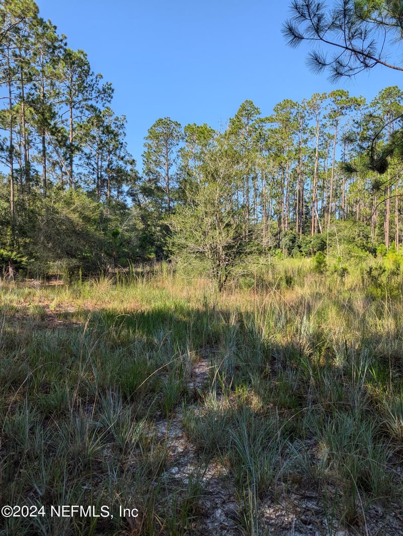 0 Garcia St, Interlachen, FL 32148