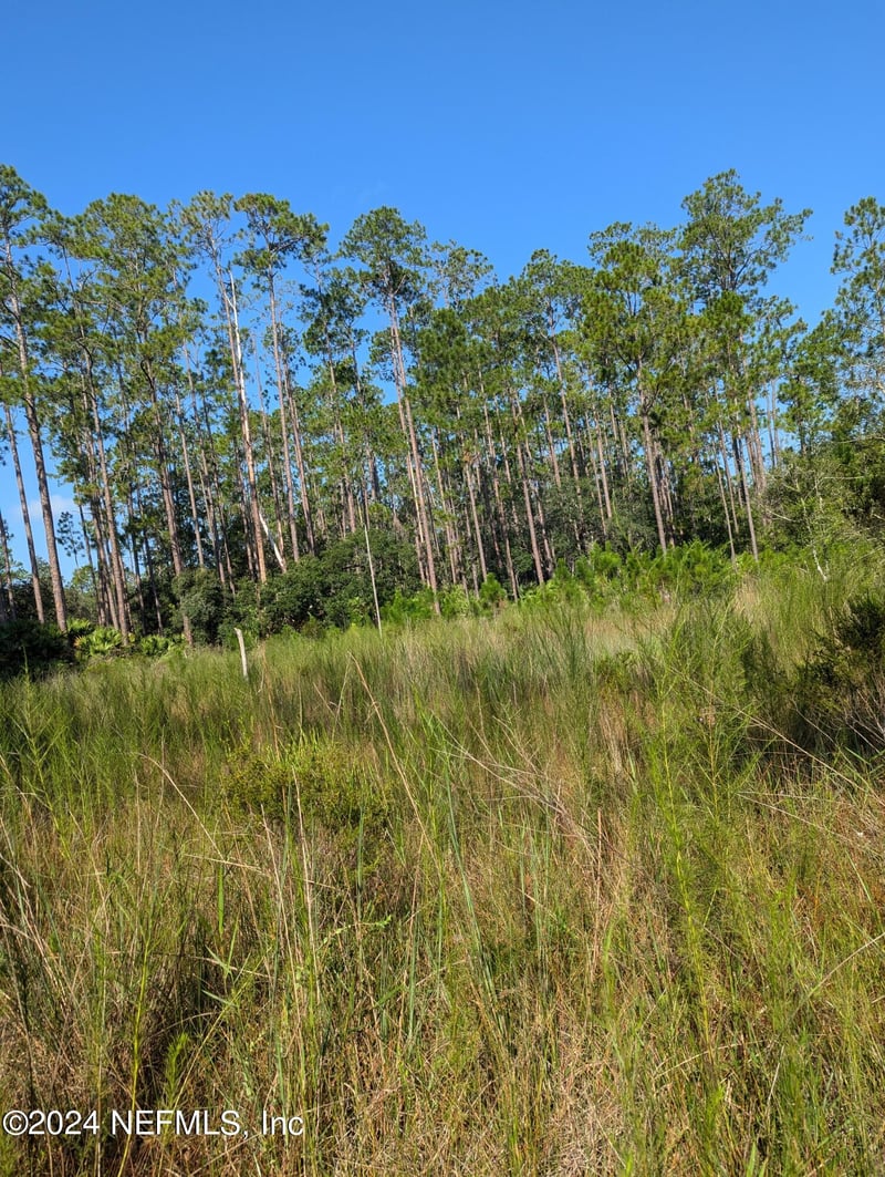 0 Garcia St, Interlachen, FL 32148