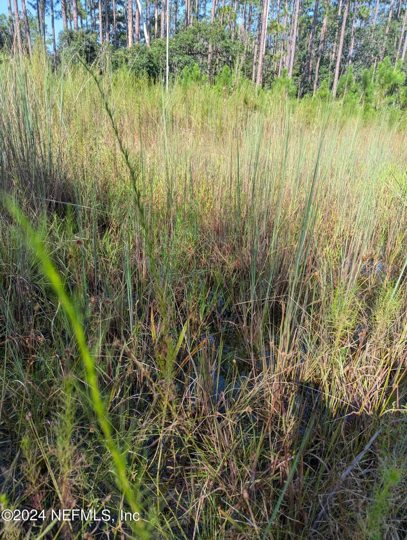 0 Garcia St, Interlachen, FL 32148