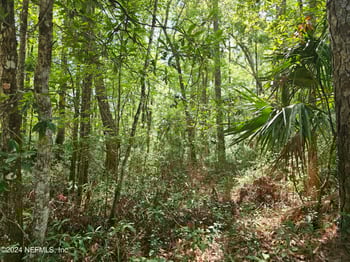 4930 Chickpea St, Middleburg, FL 32068