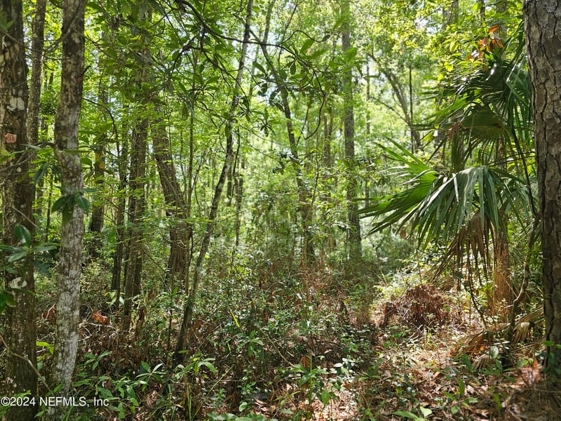 4930 Chickpea St, Middleburg, FL 32068