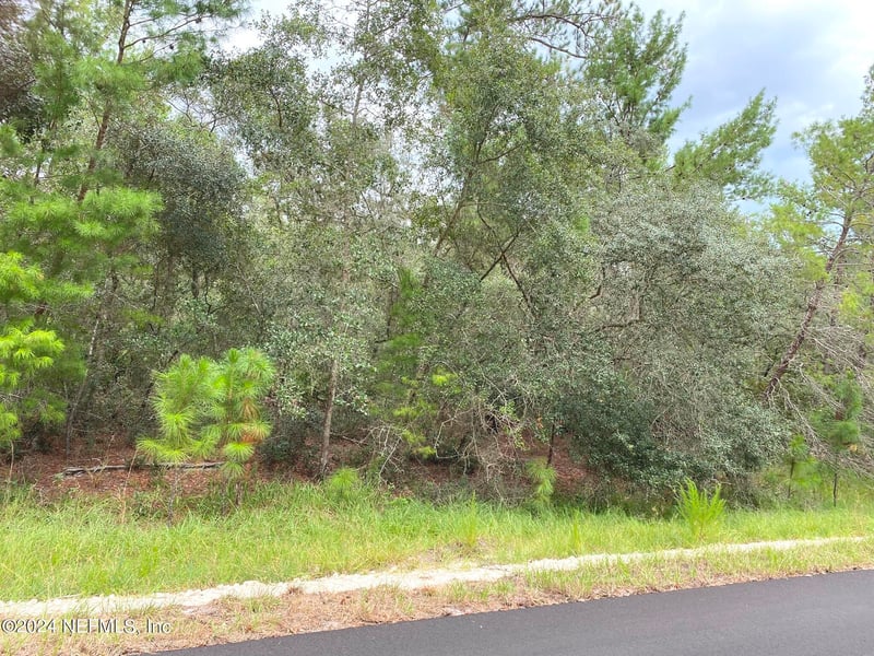 118 Spanish Trl, Georgetown, FL 32139